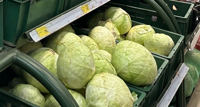 Овощ, от которого отвалятся почки: в Европе от него отказались, а в России до сих пор едят