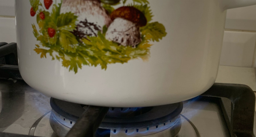 Указ вступил в силу: с 1 декабря штраф 1500 рублей в сутки для владельцев квартир с газовой плитой