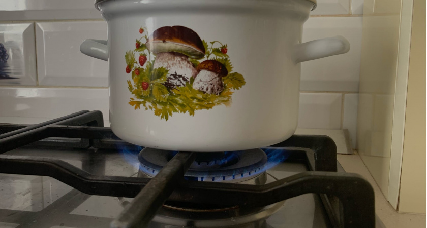 Указ вступает в силу 1 декабря: владельцев квартир с газовой плитой обяжут платить штраф 1500 рублей в сутки