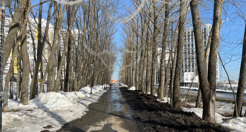 Аномальная жара и экстремальный перегрев: что ждёт россиян в ближайшие дни?