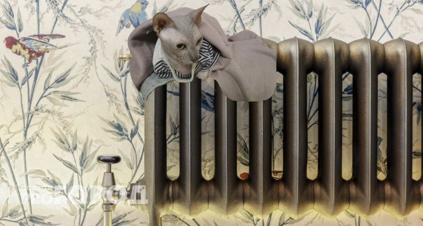 "Гораздо хуже роста цен": россиянам пригрозили штрафами за отопление