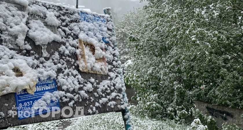 Ждите +15 зимой в России: синоптики поставили жирную точку в споре о снеге на Новый год