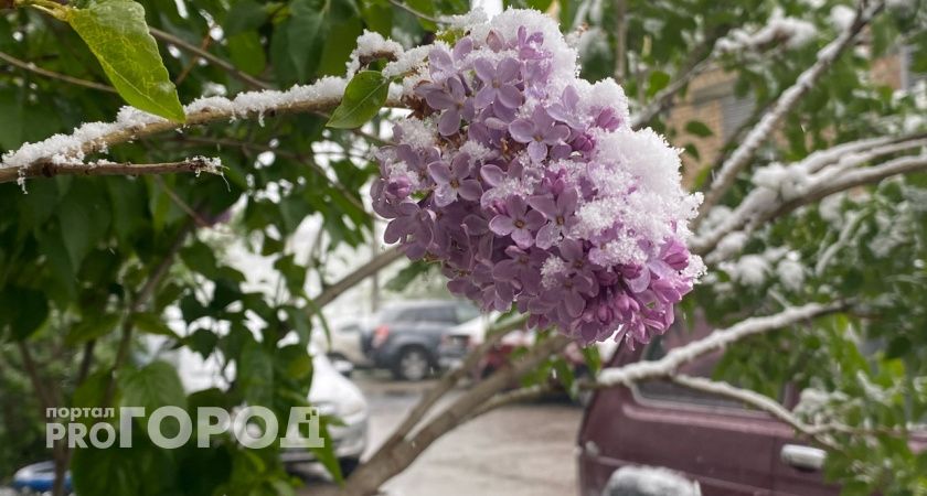 До зимнего армагеддона осталось меньше суток: синоптики прогнозируют резкий скачок на отчаянные -20