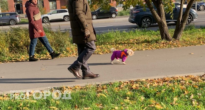 Ступят на сияющую полосу из алмазов: Тамара Глоба назвала 2 знака, которые будут жить как у Бога за пазухой