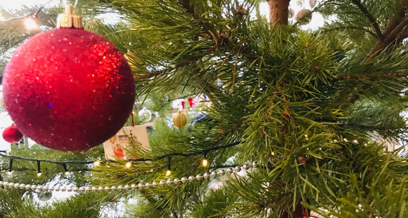 Новогодние праздники переносят из-за ситуации в стране: январские каникулы 2024-2025 больше не будут прежними