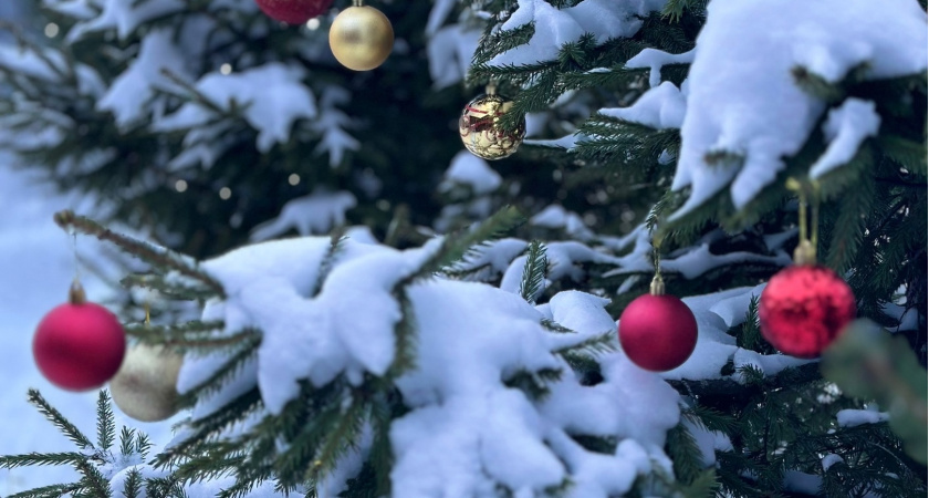 Новогодние праздники отменяют из-за ситуации в стране: январские каникулы 2024-2025 больше не будут такими, как раньше