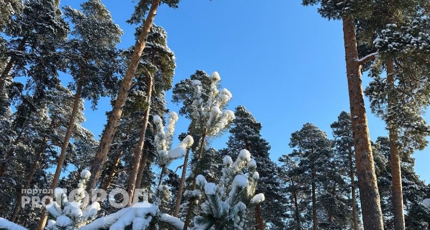 Пенсионный возраст повысят на 3 года. Отвратительный сюрприз ждёт уже с декабря