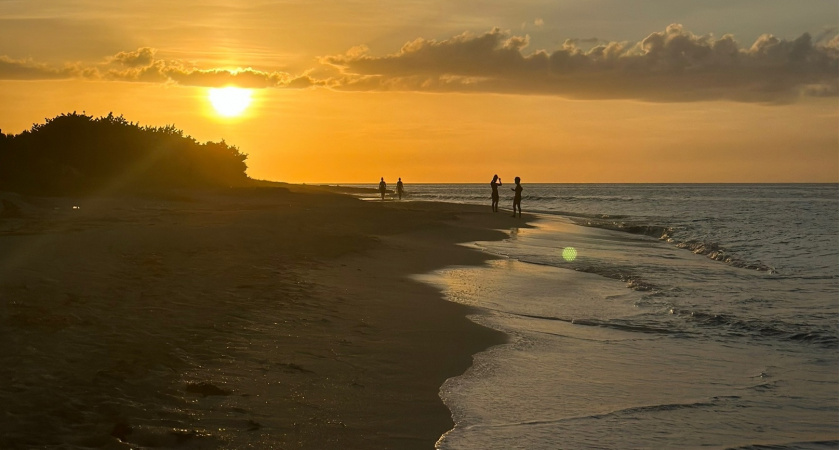 Дешевле, чем отдых в Краснодарском крае, и русских тут уважают: в декабре улетаю на этот элитный курорт