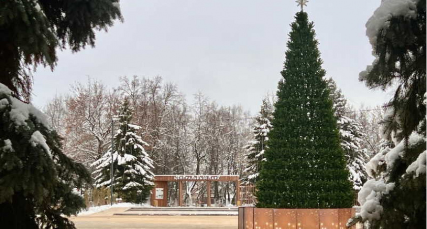 В Ковылкино установили главную новогоднюю елку