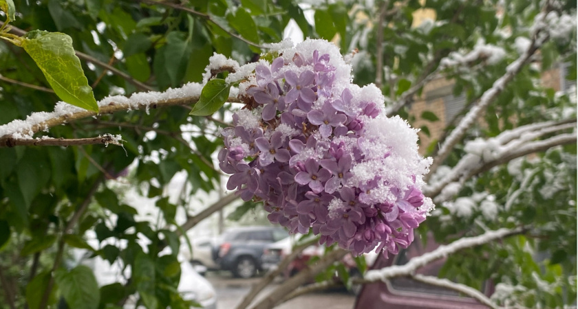 Аномальная жара +7°C ударит в январе: синоптики сообщили о сюрпризах, которые приготовила зима 2024