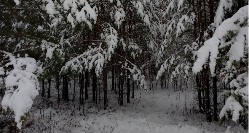 В Мордовии ожидается похолодание до -12 градусов