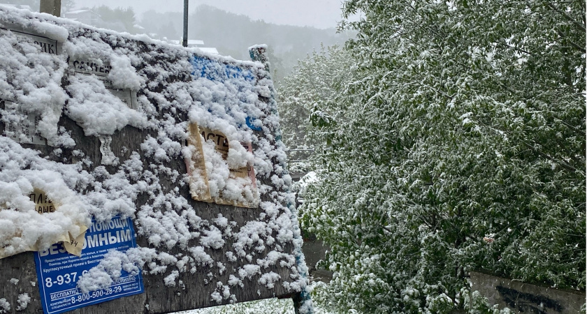 Аномальная жара +7°C ударит уже в январе: синоптики сообщили о сюрпризах, которые приготовила зима 2024