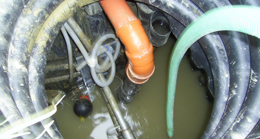 Сода не нужна: инженер назвал 2 средства для очищения выгребной ямы без откачки — естественный процесс разложения