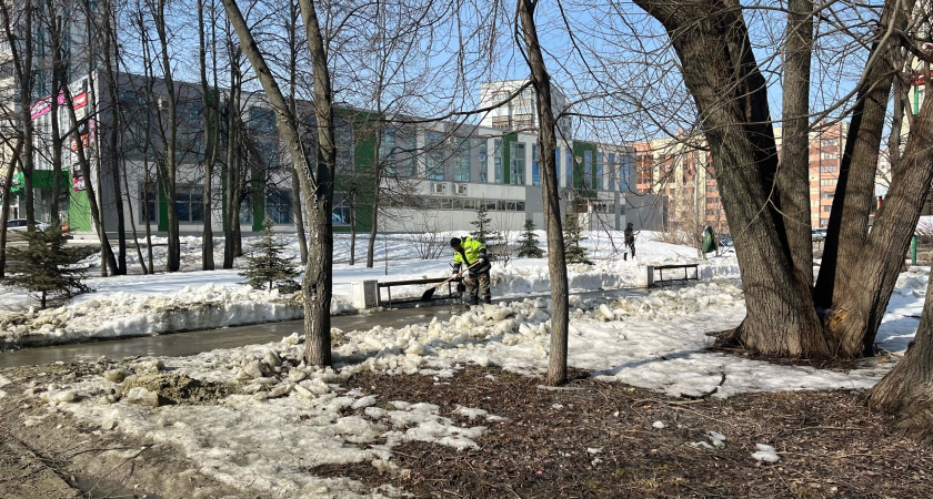 Аномальная жара +7°C ударит в январе: синоптики сообщили о сюрпризах, которые приготовила зима 2024