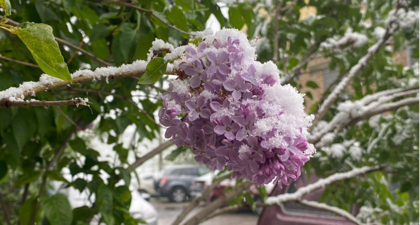 Аномальная жара +5°C ударит в январе: синоптики сообщили о сюрпризах, которые приготовила зима 2024