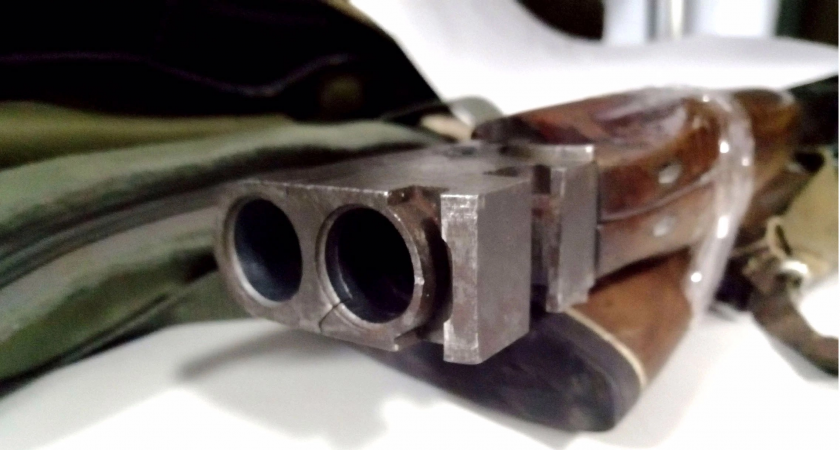 Росгвардейцы Мордовии изъяли 20 единиц за неделю