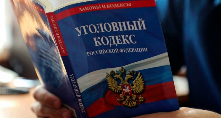 Следственный комитет России начал проверку после обращения сироты из Мордовии