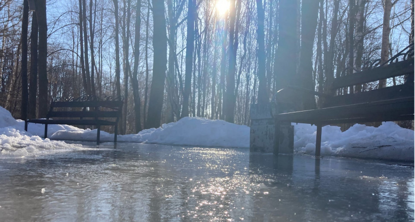 28 января в Мордовии ожидается дождь и до +3