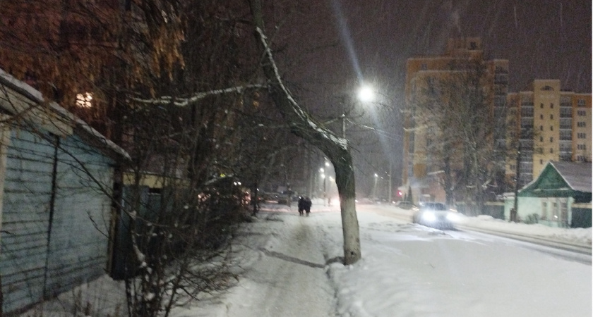 В Мордовии признали недействительной сделку с участком сельхозназначения