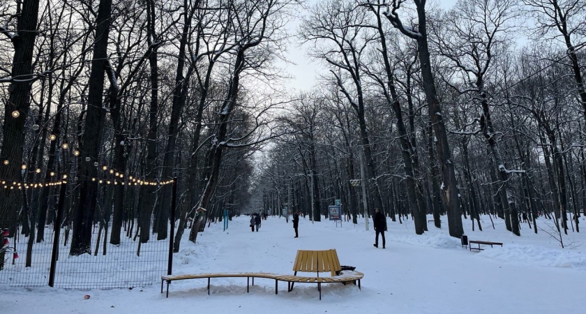 В Саранске прошла 43 Всероссийская лыжная гонка «Лыжня России»