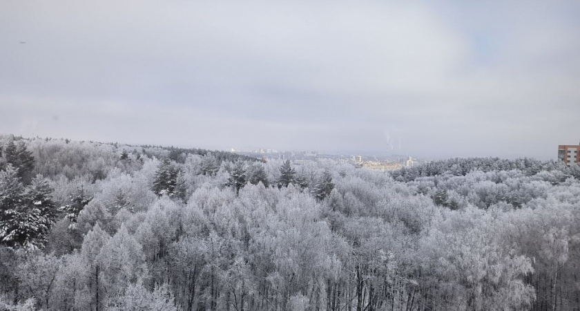 18 февраля в Мордовии ожидается снег и мороз до -18