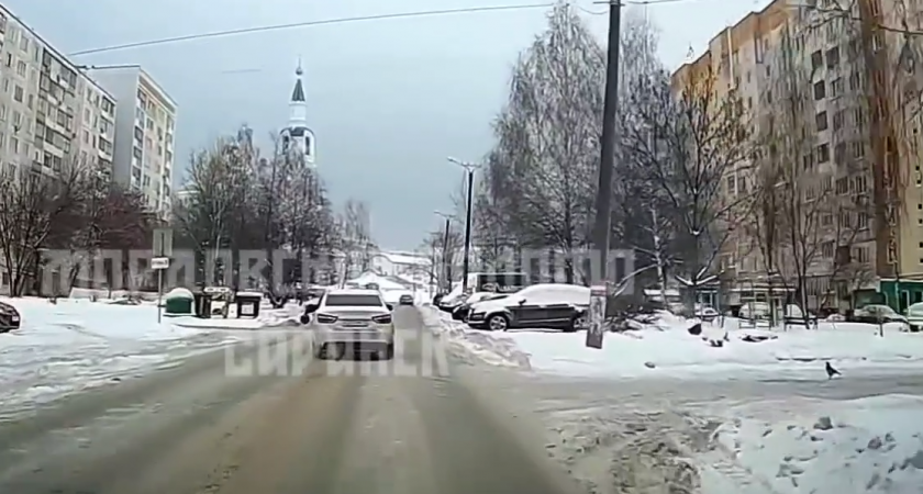 Жители Саранска пожаловались на бросающих мусор из окон водителей