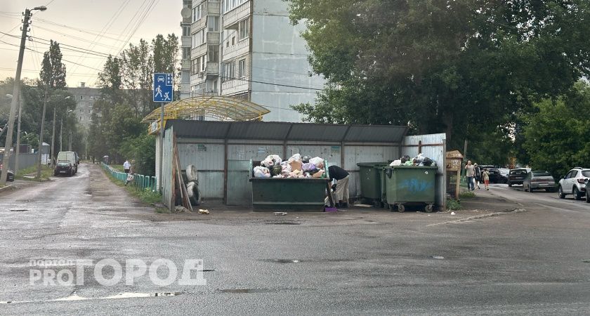 На помойку бегаю с соседом наперегонки: ищем этот крайне полезный мусор - оценят все, у кого есть дача или участок