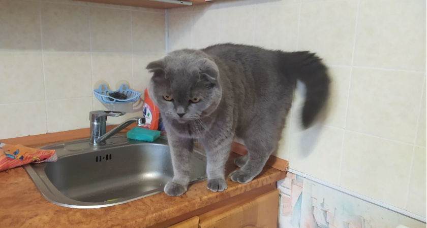 В Саранске 6 марта отключили воду на 6 улицах