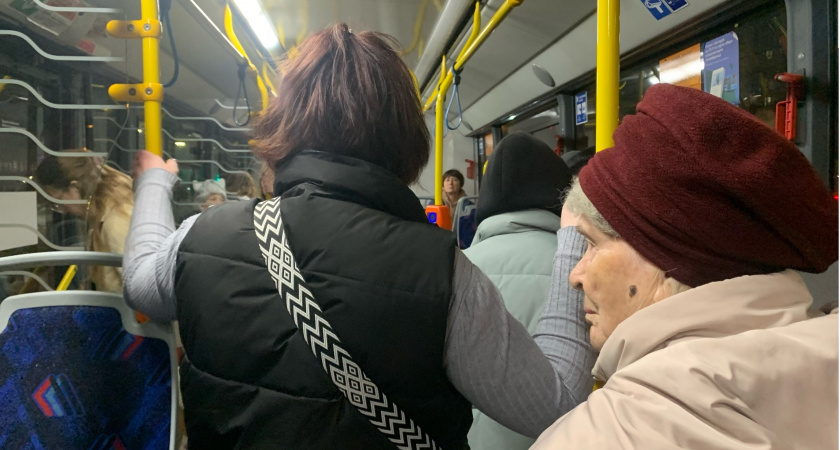 В Мордовии перевезли 33,3 тысячи пассажиров за 2024 год