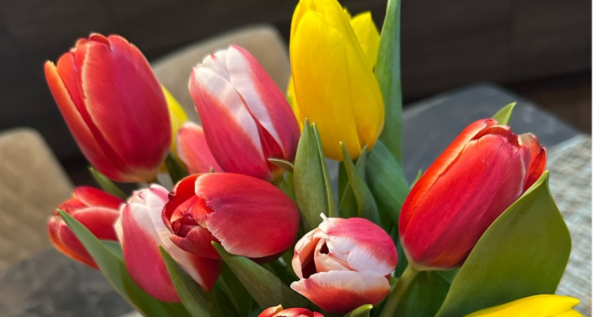 Артем Здунов поздравил жительниц Мордовии с Международным женским днем