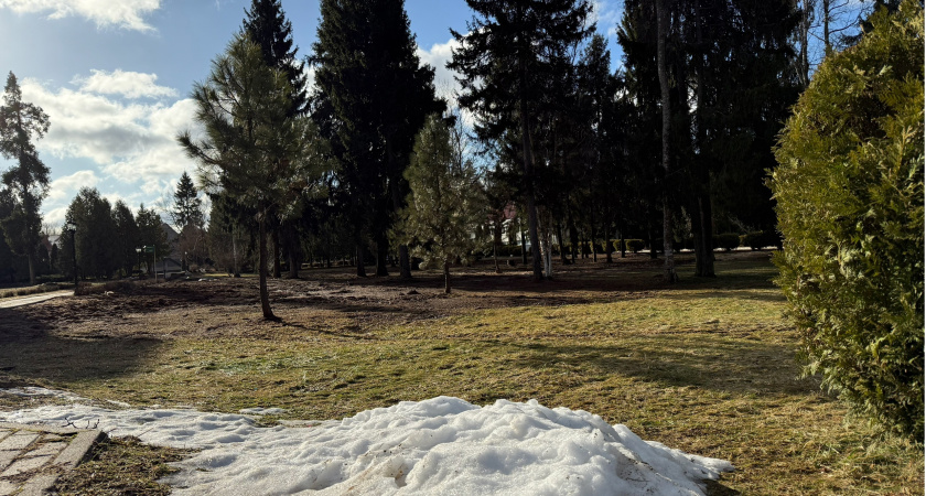 В Мордовии побит температурный рекорд 1962 года