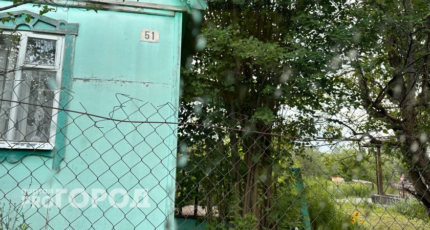Дачники кипят от ярости: в марте начнут забирать участки при одном условии - касается всех собственников