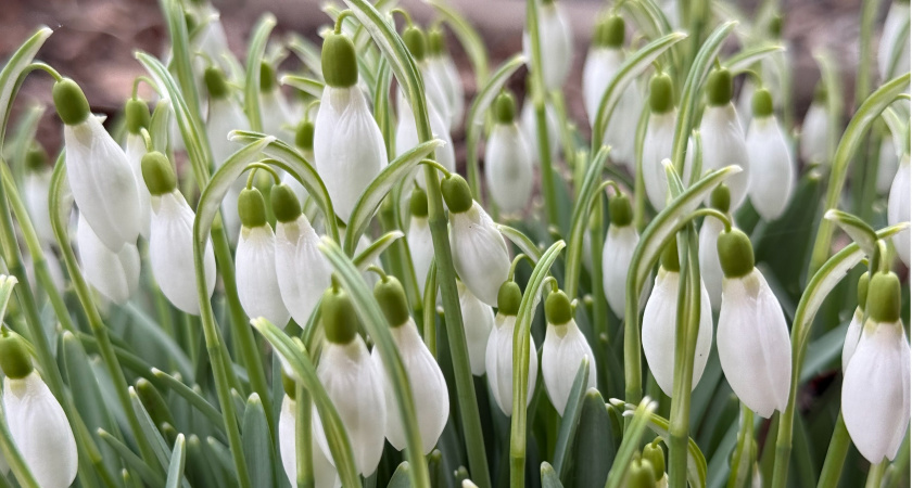 В Мордовии побит третий температурный рекорд 