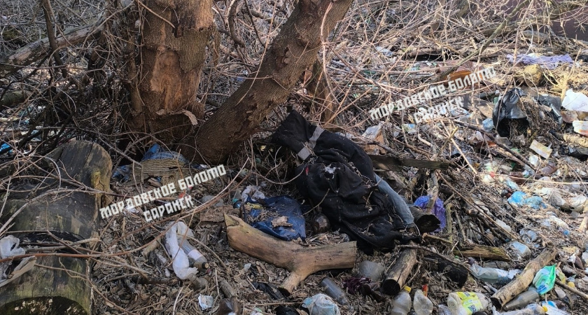 Жители Саранска пожаловались на свалку в центре города