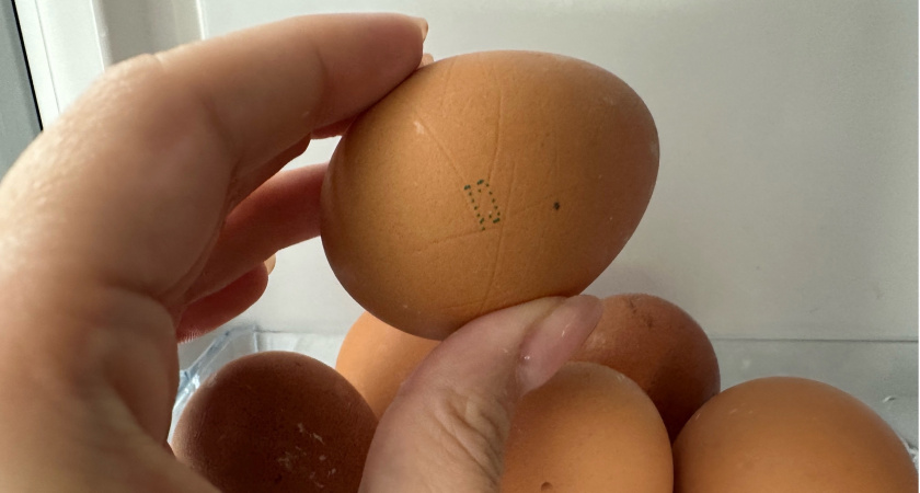 В Рузаевке состоится предпасхальная ярмарка 13 апреля