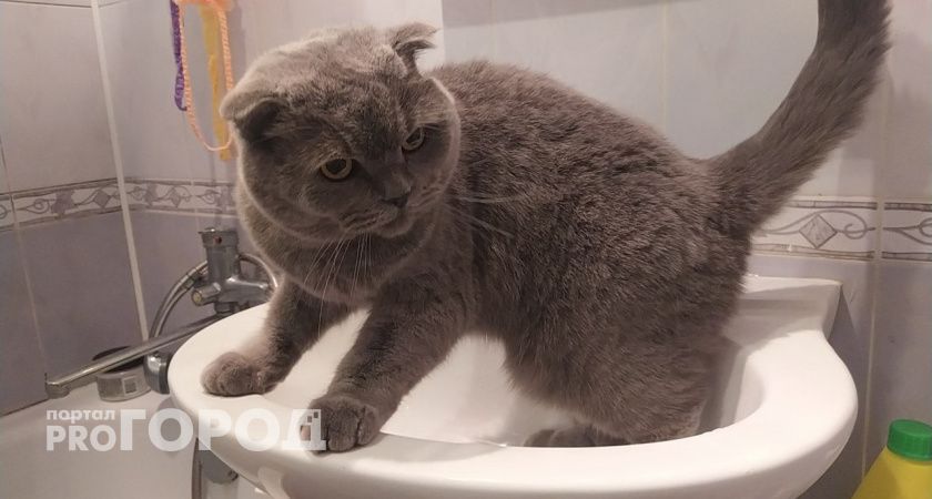 С 25 апреля полностью запретят раковины и краны: их придется менять