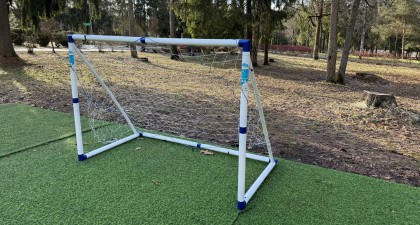 Полицейские Мордовии провели матч по мини-футболу с сиротами