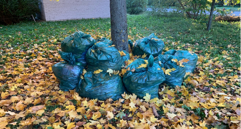 Мэрия Саранска прокомментировала жалобу на кучи мусора вдоль улицы Комарова