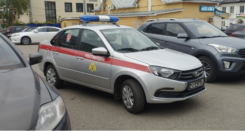 Росгвардейцы Мордовии изъяли 12 единиц оружия за неделю