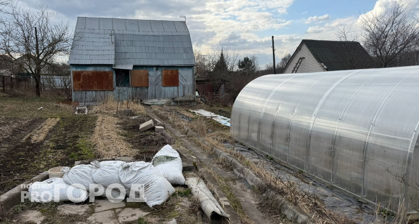 С мая на теплицы вводится запрет: приняли решение для всех владельцев дачи или участка - новые штрафы