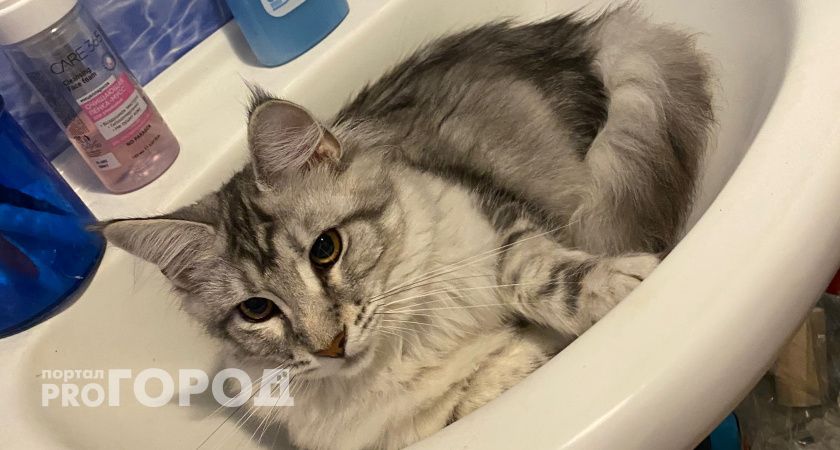 С 1 мая полностью запретят такие раковины и краны: их придется менять