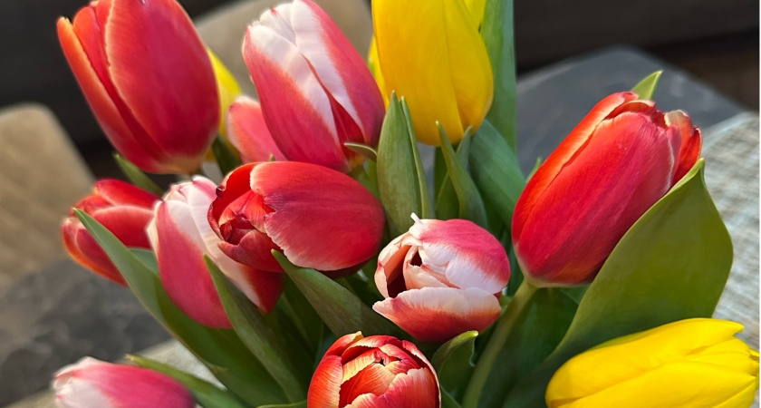 В Музее Эрьзи состоялось открытие проекта «Цветы России»