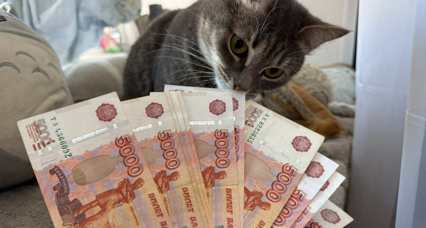 С начала мая россиян ждет крупнейшая денежная реформа со времен 90-х