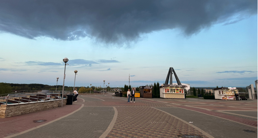 МЧС Мордовии предупредило об усилении ветра