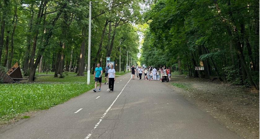 Мэрия Саранска рассказала о планах по обработке от клещей юго-западного леса