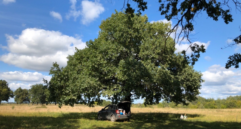 МЧС Мордовии предупредило об опасной погоде с 30 апреля по 5 мая