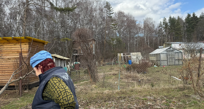 С мая у дачников начнут забирать землю: новые жесткие правила вступили в силу