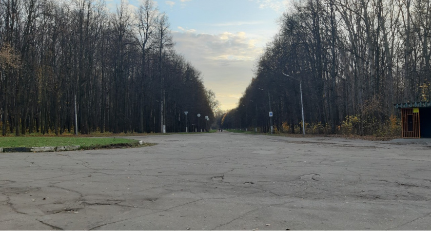 Жители Мордовии продолжают присоединяться к Всероссийской акции «Сад памяти»