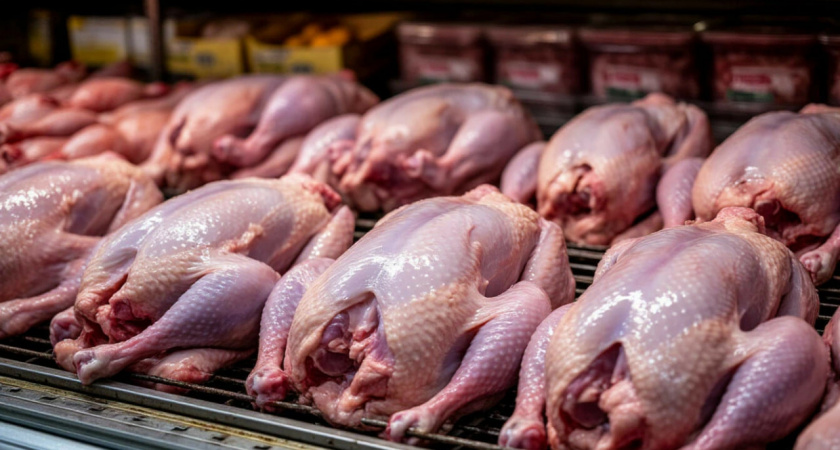 Там только кожа и кости, курицы нет: в Роскачестве назвали худшие бренды цыплят-бройлеров, не берите даже по скидке