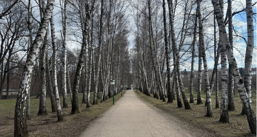 Сотрудники МЧС напомнили жителям Мордовии о том, как избежать укуса клещей